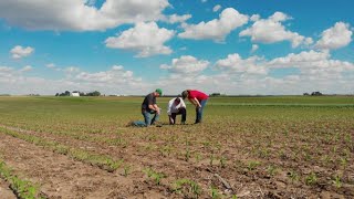 Video still for Demo Farm Tests Sustainable Growing Practices with Advanced Ag Technology | John Deere